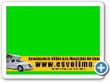 Esvo Limousine Service
